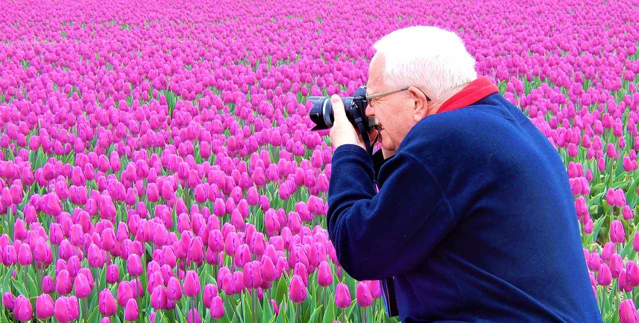 Jak fotografować kwiaty?